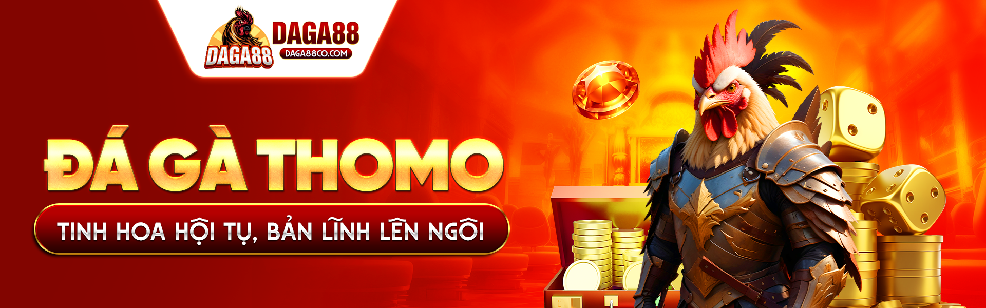 đá gà thomo tinh hoa hội tụ bản lĩnh lên ngôi