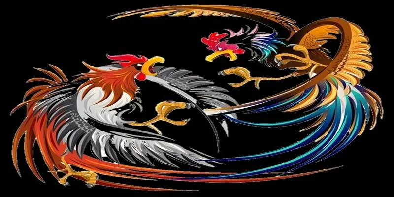 Tập Lực Cho Gà Chọi Cùng Daga88 Giúp Tăng Thể Lực Và Sức Bền