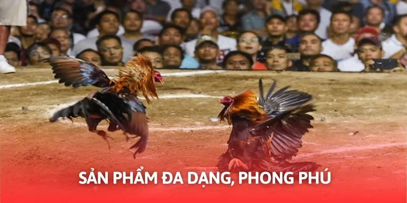 Giới thiệu Daga88 là nhà cái cá cược trực tuyến uy tín tại châu Á