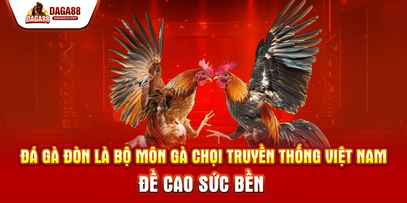Đá Gà Đòn là bộ môn gà chọi truyền thống Việt Nam đề cao sức bền