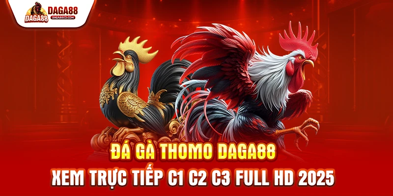 Đá Gà Thomo DAGA88 – Xem Trực Tiếp C1 C2 C3 Full HD 2025