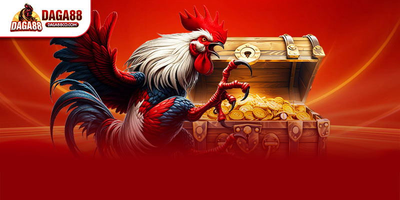 ĐÁ GÀ TRỰC TIẾP C1 DAGA88 🎯 XEM CÁC TRẬN ĐẤU C1 MỖI NGÀY