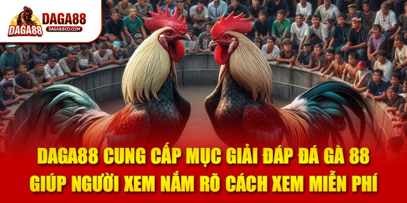 DAGA88 cung cấp mục giải đáp đá gà 88 giúp người xem nắm rõ cách xem miễn phí