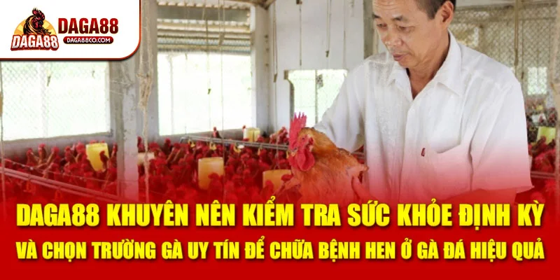 DAGA88 khuyên nên kiểm tra sức khỏe định kỳ và chọn trường gà uy tín để chữa bệnh hen ở gà đá hiệu quả