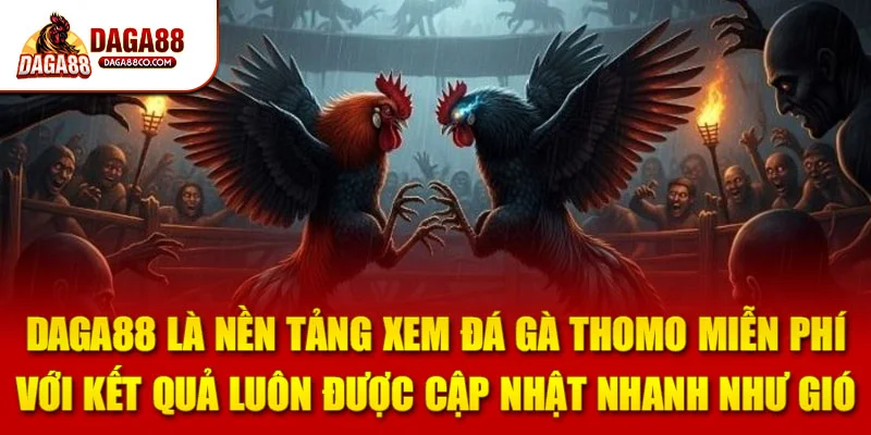 DAGA88 là nền tảng xem đá gà Thomo miễn phí với kết quả luôn được cập nhật nhanh như gió