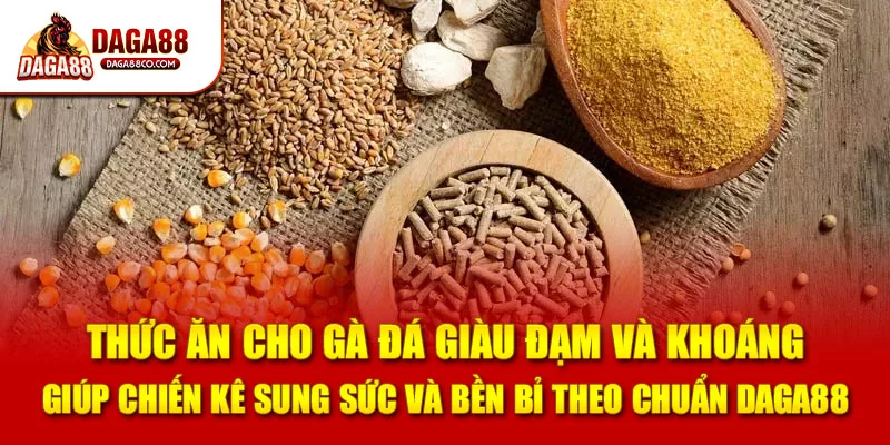 Thức ăn cho gà đá giàu đạm và khoáng giúp chiến kê sung sức và bền bỉ theo chuẩn DAGA88