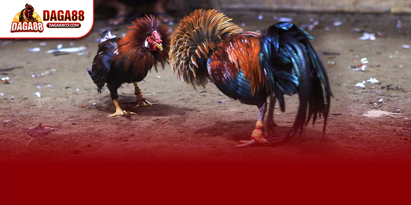 Trước khi đăng ký DAGA88 người chơi cần bảo mật thông tin cá nhân kích hoạt 2FA